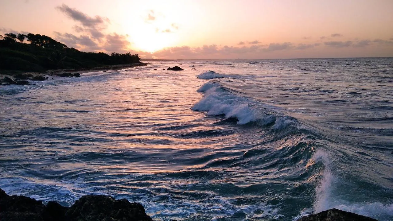 Studio Avec Grande Piscine, Plage Vanille Caraibes Saint-Francois  0*, Saint-Francois (Grande-Terre) Guadeloupe